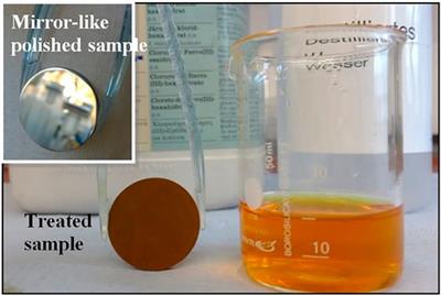 Preliminary Studies for One-Step Fabrication of Metallic Iron-Based Coatings on Magnesium as Temporary Protection in Biodegradable Medical Application